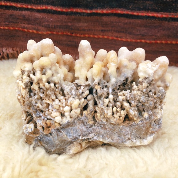 Botryoidal Moroccan Aragonite / Cave Calcite - Picture 3 of 6